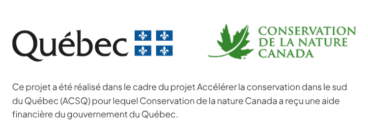 Accélérer la conservation dans le sud du Québec (ACSQ)